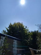 IMG_20250621_130036.jpg