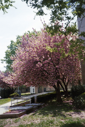 EXAMPLE-1.jpg