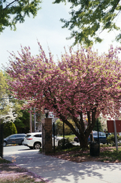 EXAMPLE-2.jpg