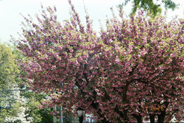 EXAMPLE-3.jpg