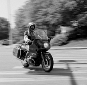 Easy Rider 2025 - Square.jpg