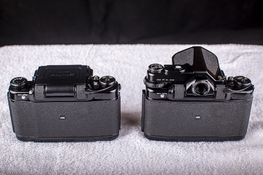 2 Bodies - Back.jpg