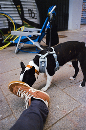 DIY EXAMPLE 1.jpg