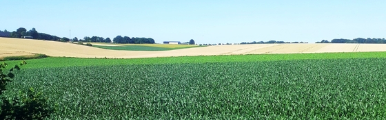 20250705_122651.jpg