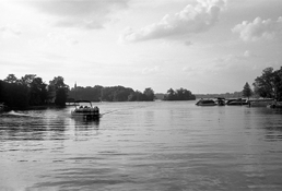img006.jpg