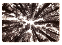1751950643401.png