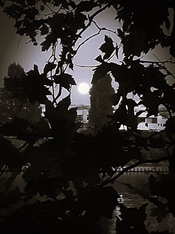 20250709_232432s.jpg