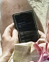 IMG_0494.jpeg