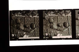 Light pad example 1.jpg