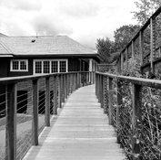 Boat house - desat.jpg
