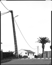 Linhof_25_25.jpg