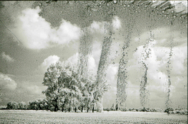 File0144.jpg