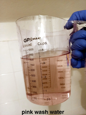 pink_washing_water.jpg