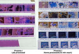 g1160.jpg