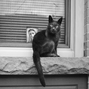 entry bw4.jpg