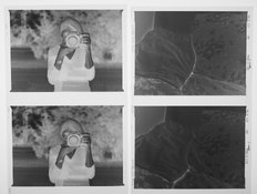 FP4 neg-A sm.jpg