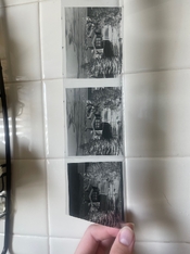 IMG_3394.jpeg