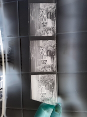 IMG_3394.jpeg