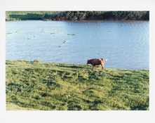 Untitled (112).jpg Untitled (112).jpg