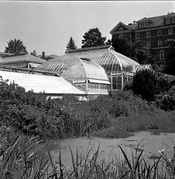 Greenhouse 1 - desat.jpg
