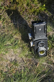 RolleiWilds1.jpg