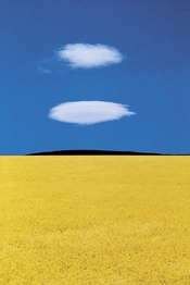 Landscape-Italy-1978-OK-2.jpg