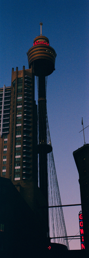 20250806_03_ex_rs.jpg