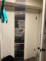 IMG_3521.jpeg