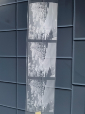 IMG_3579.jpeg
