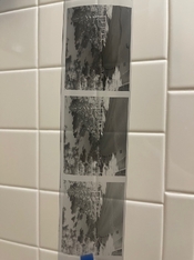 IMG_3579.jpeg