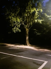 s20250813_214553.jpg