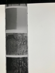 IMG_5068.jpeg IMG_5068.jpeg