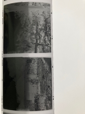 IMG_5067.jpeg IMG_5067.jpeg