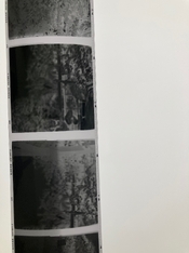 IMG_5066.jpeg IMG_5066.jpeg