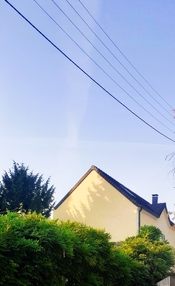 20250815_084154.jpg