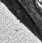 FX-1 Efke 100 2a.jpg