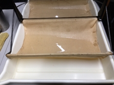 rinsing.JPG