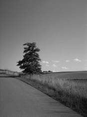 Foma428a.jpg