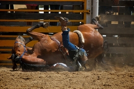 harveydalerodeo-20110126-3.jpg
