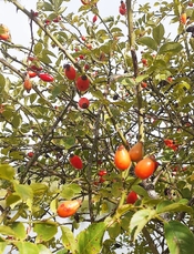 s20250823_104027.jpg