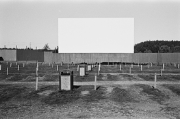 20241231fp4_Pcat_stand_4-3+900_1hr7 (1).jpg