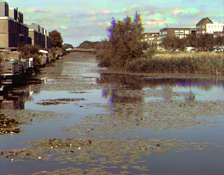 landscape combined RGB small.jpg
