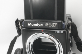 _MG_8292.JPG