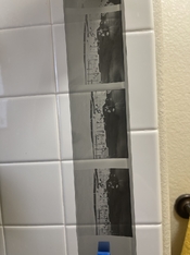 IMG_3687.jpeg