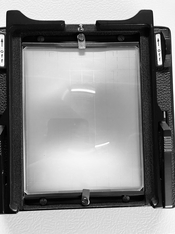 IMG_2500.jpeg