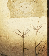 s20250906_081617.jpg