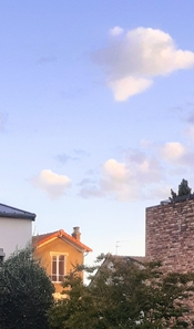 s20250909_074013.jpg