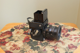 BZ6A6951.JPG