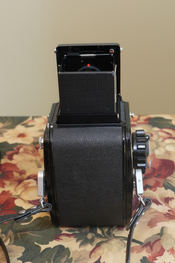 BZ6A6952.JPG
