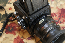 BZ6A6953.JPG